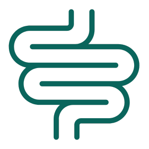 Gut Health