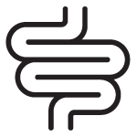 Gut Health
